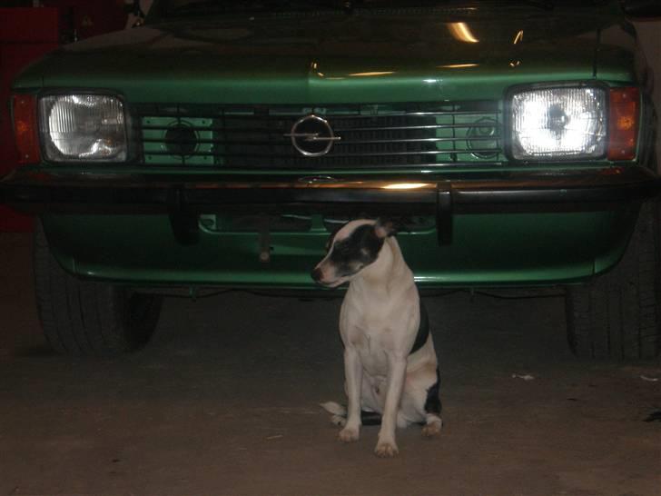 Opel Kadett c coupe Solgt billede 2