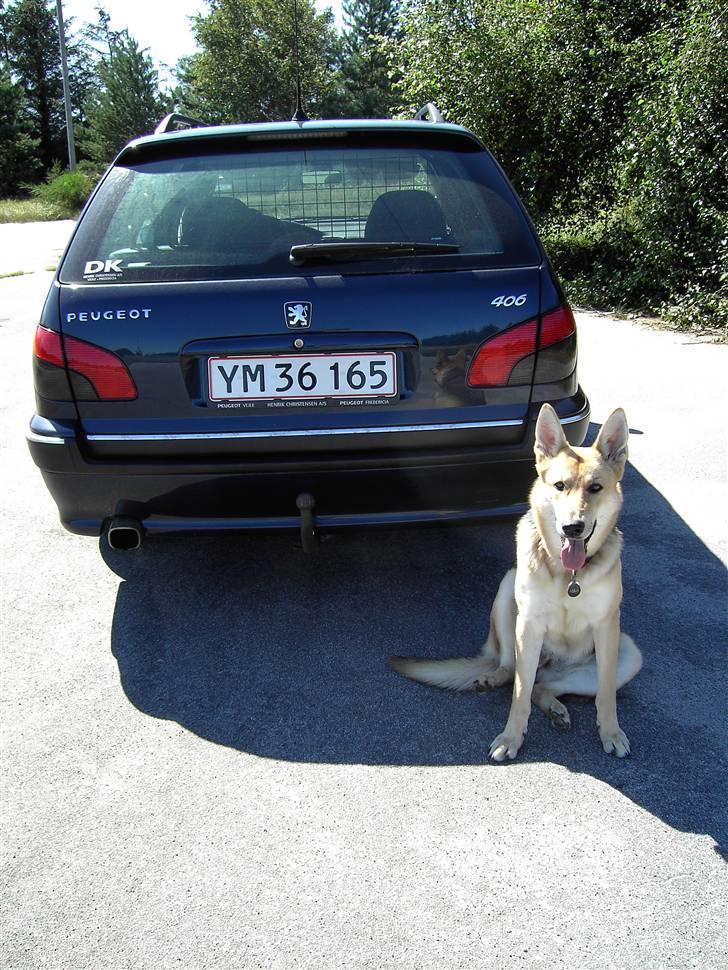 Peugeot 406 st billede 8