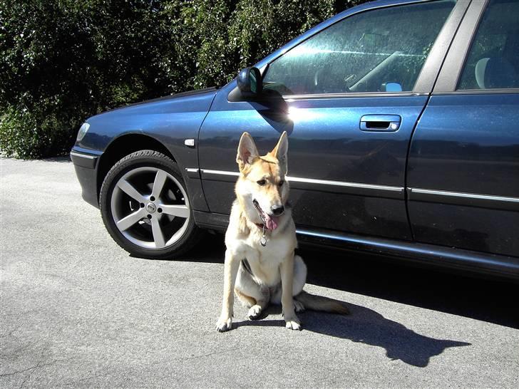 Peugeot 406 st billede 9