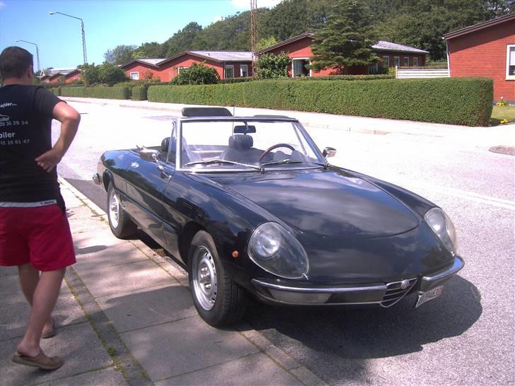 Alfa Romeo Spider billede 1