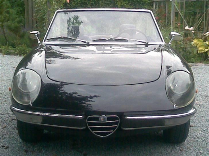 Alfa Romeo Spider billede 3