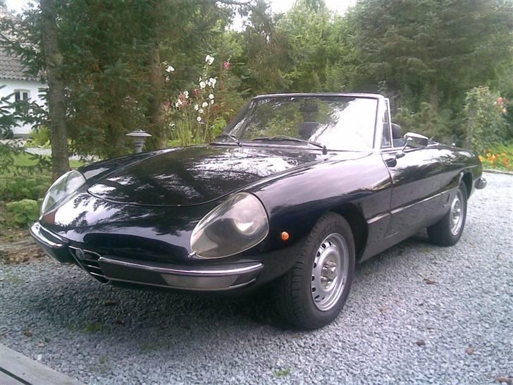 Alfa Romeo Spider billede 4