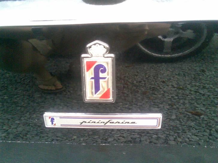 Alfa Romeo Spider billede 5