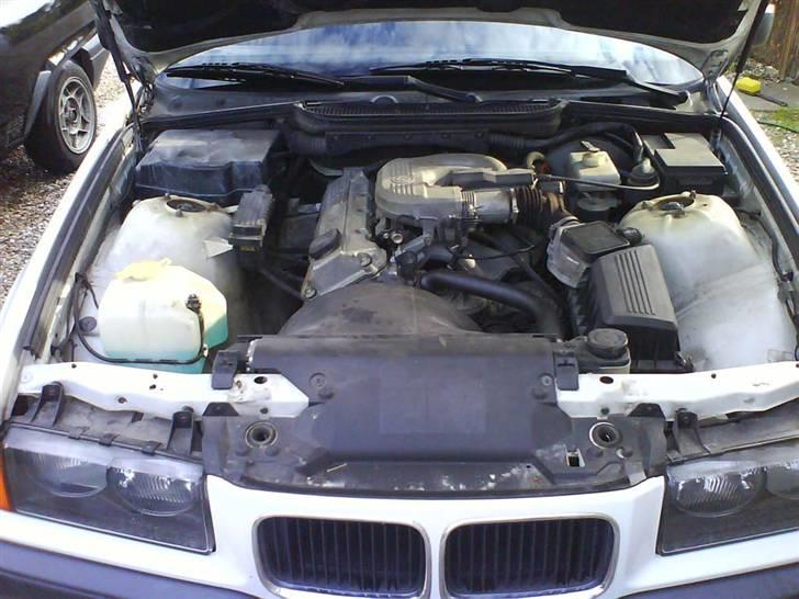 BMW 316i Compact *SOLGT* - motoren :) der er masser af plads til forbedringer.. billede 13
