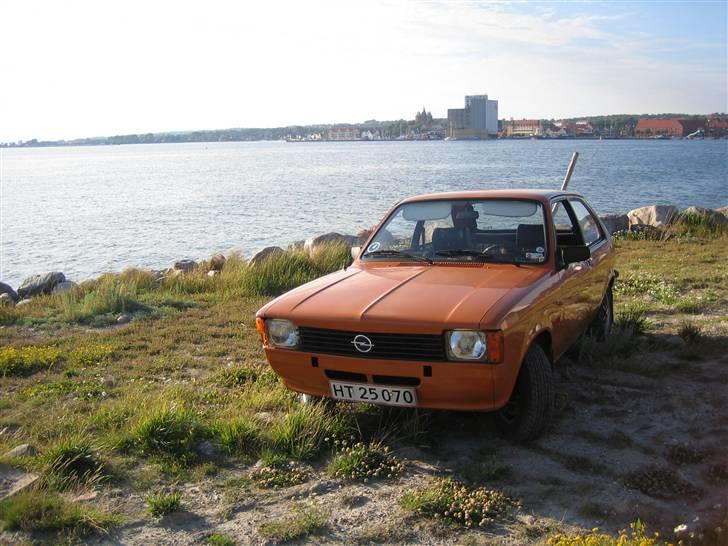 Opel Kadett C City -Guldfuglen billede 2