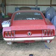 Amerikaner Mustang Fastback "Mach1"