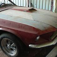 Amerikaner Mustang Fastback "Mach1"