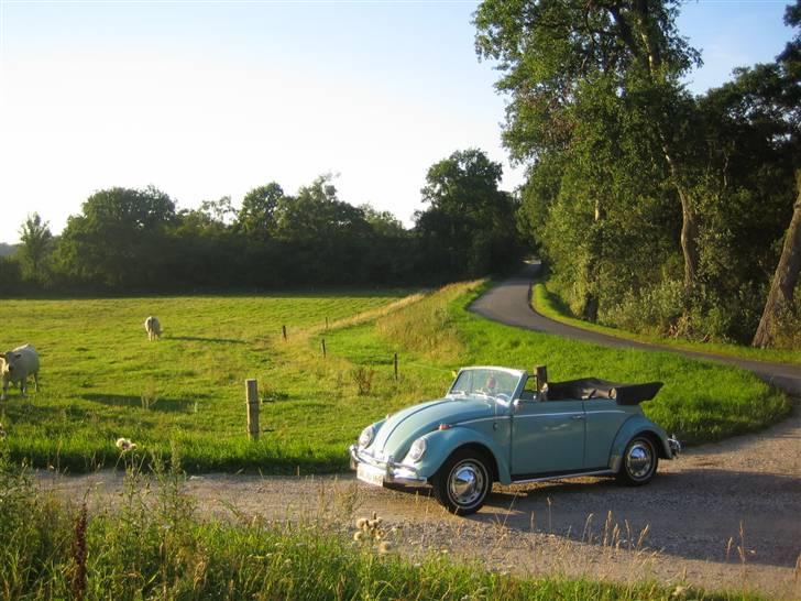 VW Bobbel cabriolet Karmann billede 4
