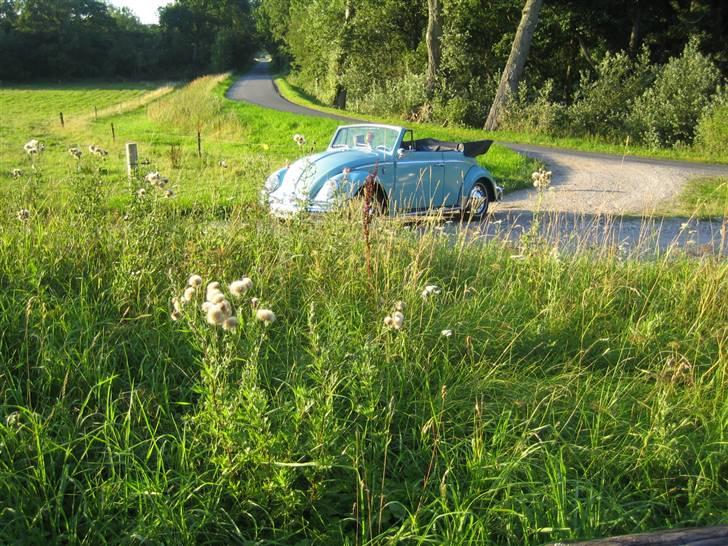 VW Bobbel cabriolet Karmann billede 5