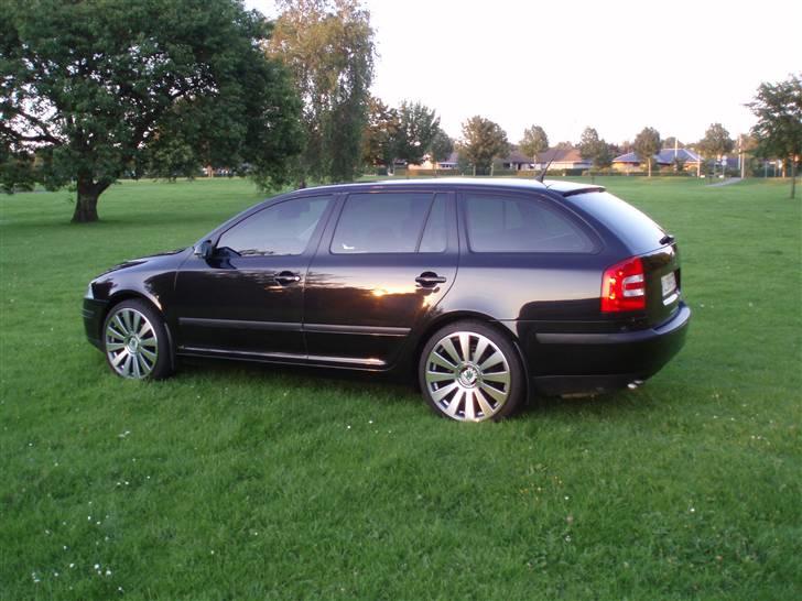 Skoda octavia billede 1