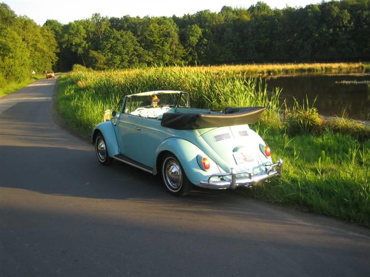 VW Bobbel cabriolet Karmann billede 9