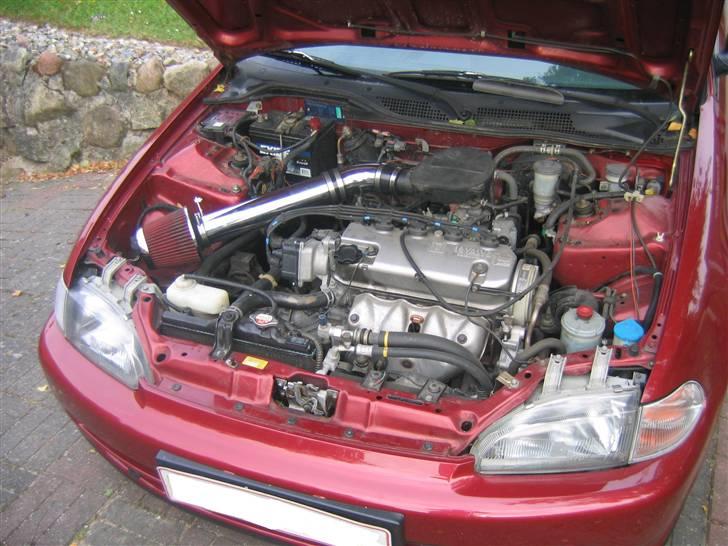 Honda Civic billede 8