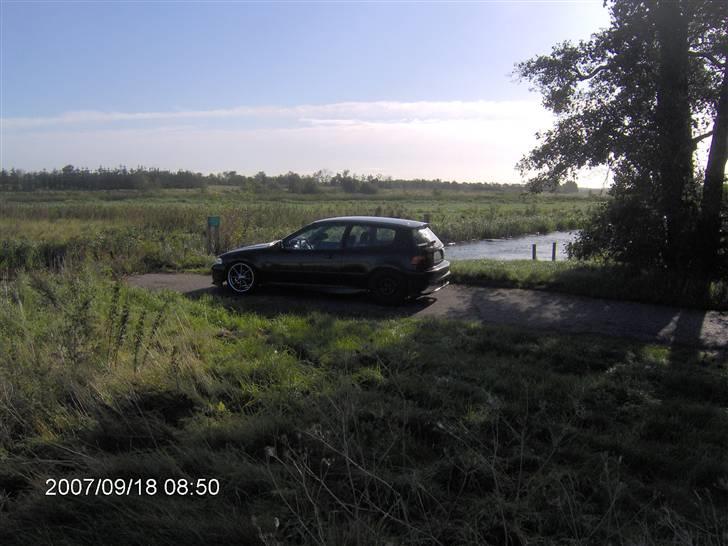 Honda Civic 1.5 billede 3