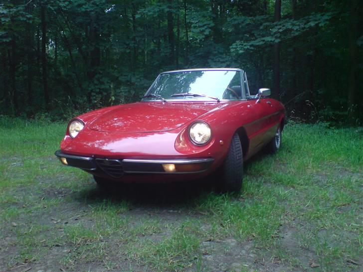 Alfa Romeo spider 1750 - SOLGT - billede 10