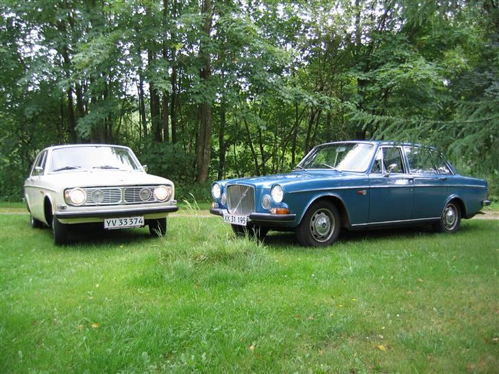 Volvo 144 Yvonne SOLGT - Her er de 2 gamle tøser på skovtur, min kammerats dejlige 164´er som hedder BODIL... billede 17