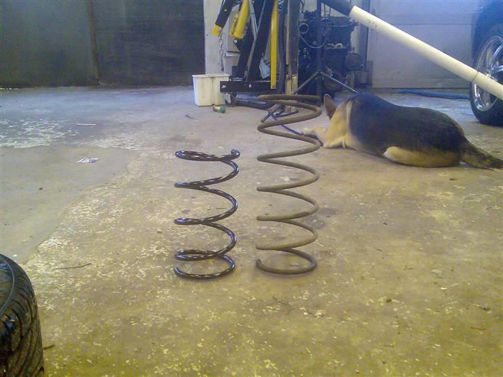 Peugeot 306 *solgt* - Lidt mindre fjedre måske ;-) billede 19