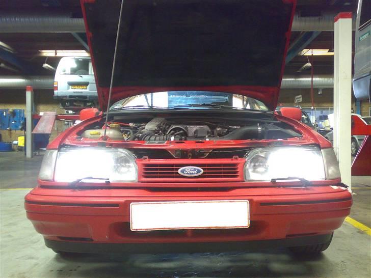 Ford Sierra 2.0i GLX SOLGT - Xenon look forlygtepærer. Hader det gule skær der er i almindelige pærer... billede 5