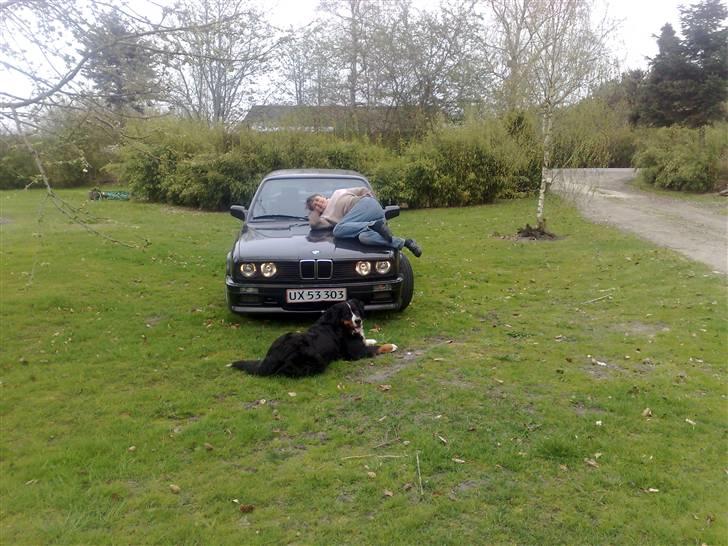 BMW E30 320i/325i Rustet væk. - med mor og hund... hehe min mor er syg.. billede 4