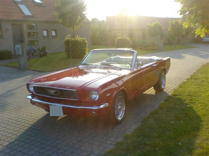 Ford Mustang billede 1