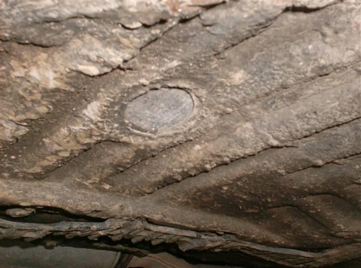 Toyota Celica 1,6 GT  SOLGT billede 9