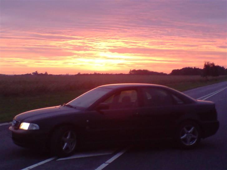 Audi A4 2,6 v6 (død) - Dawn billede 2