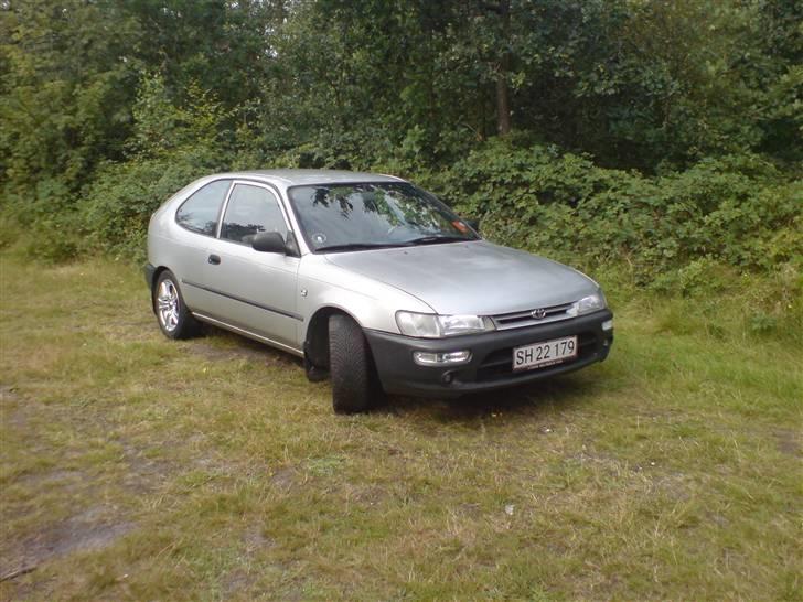 Toyota Corolla billede 1