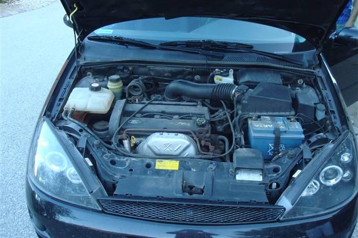 Ford focus SOLGT billede 9