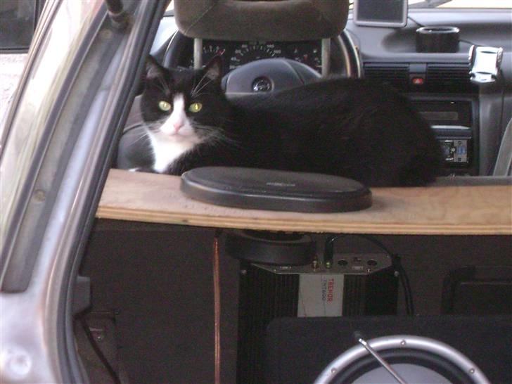 Opel astra F st. car - det er så min alam... :-) billede 7