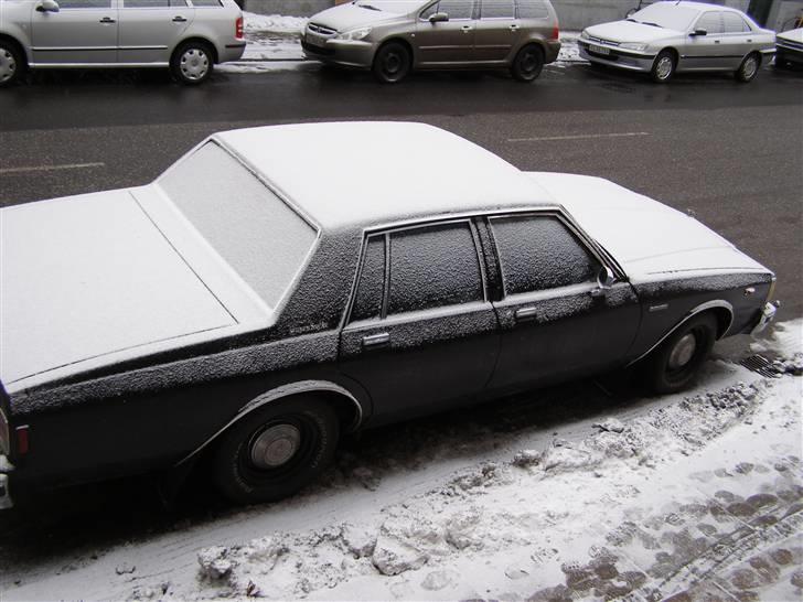 Chevrolet Caprice Estate - Min gamle Caprice 9C1 (ex-police). Puha, hvor jeg savner den... Den kørte dælme godt! billede 8