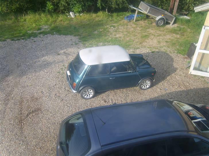 Austin-Morris mascot solgt billede 2