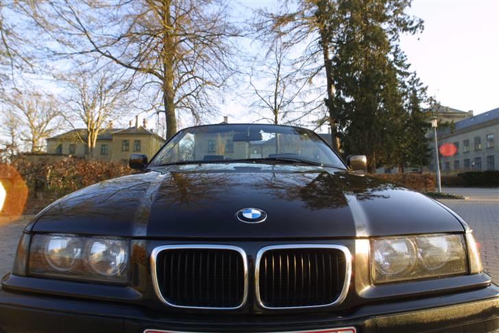 BMW E 36 Cabriolet billede 4
