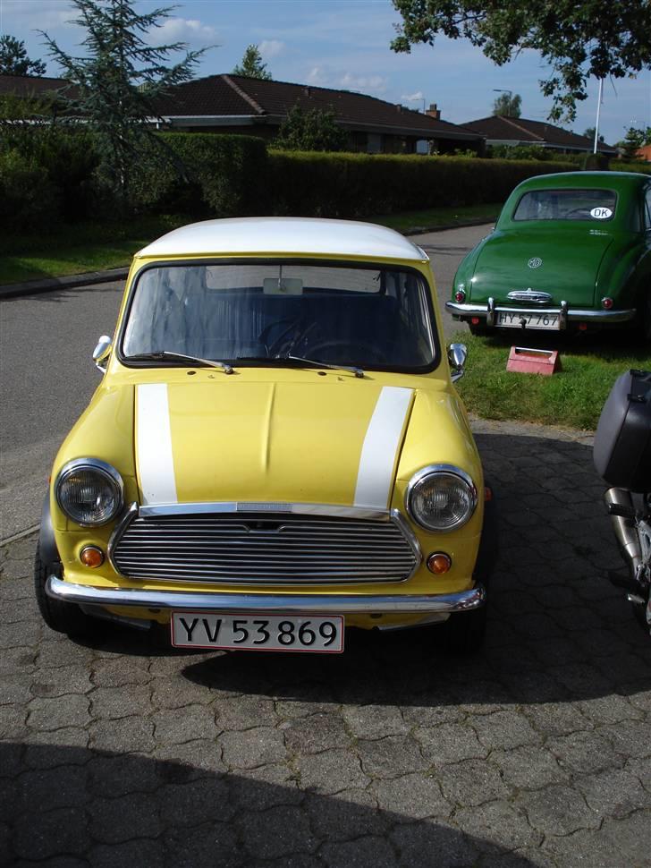 Mini morris mascot billede 6