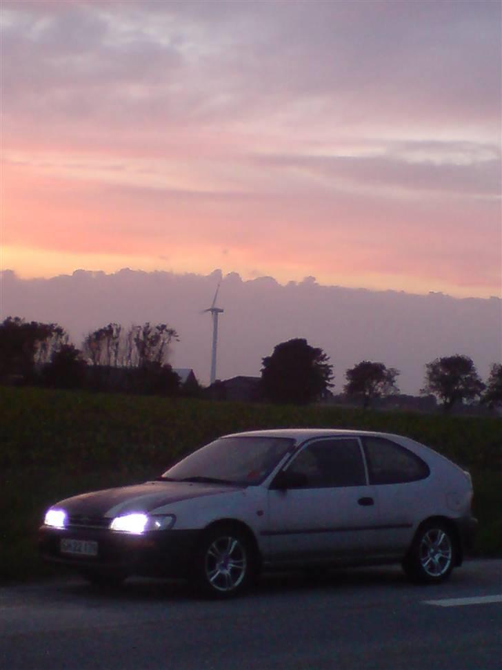 Toyota Corolla billede 8