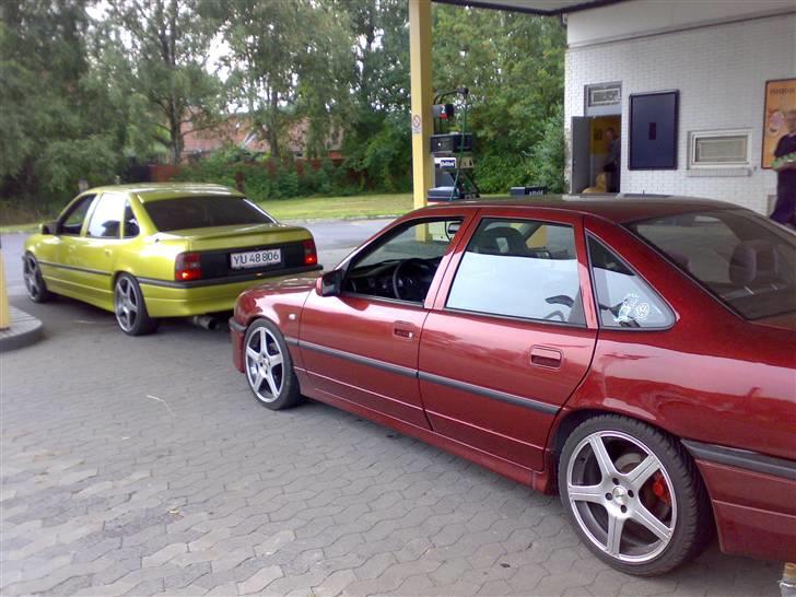 Opel Vectra 2000 16V *SOLGT* - Her i godt selvskab med en anden Vectra 2000. Dog med en c20let motor i :) :D Pift. billede 4