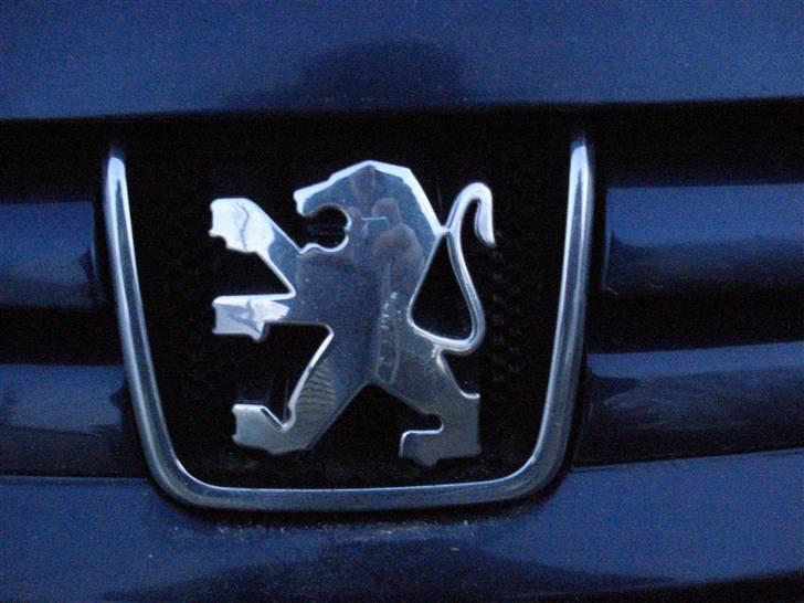 Peugeot 406 "død" SMADERT billede 10