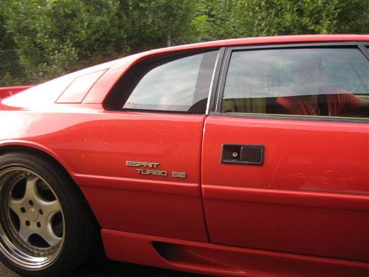 Lotus Esprit se(SOLGT) billede 6