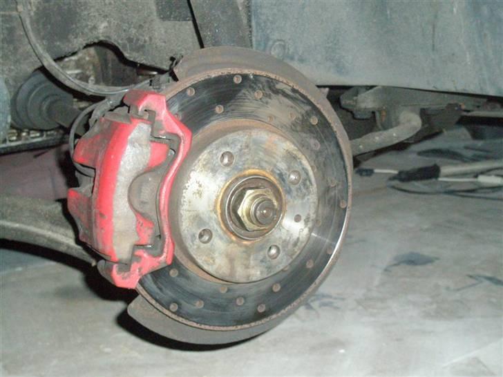 Alfa Romeo 33 billede 12