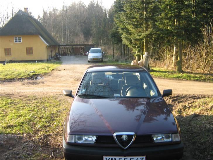 Alfa Romeo 155 total skadet billede 2