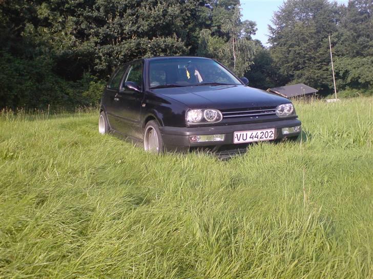 VW golf 3 SOLGT billede 2