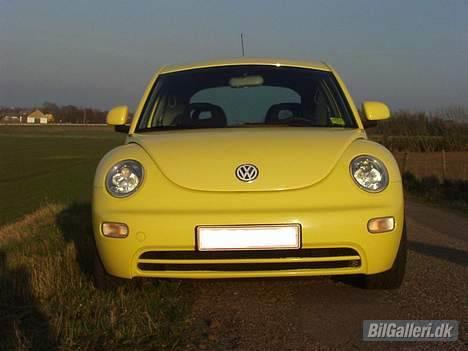 VW New Beetle billede 4