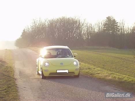 VW New Beetle billede 5