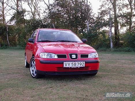 Seat Ibiza billede 1