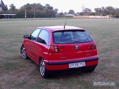 Seat Ibiza billede 2