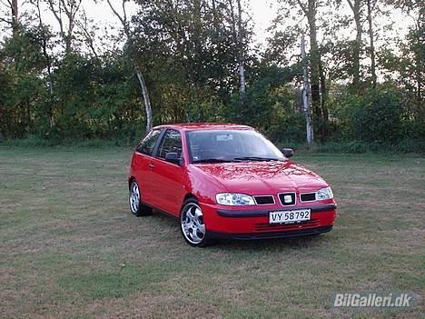 Seat Ibiza billede 3