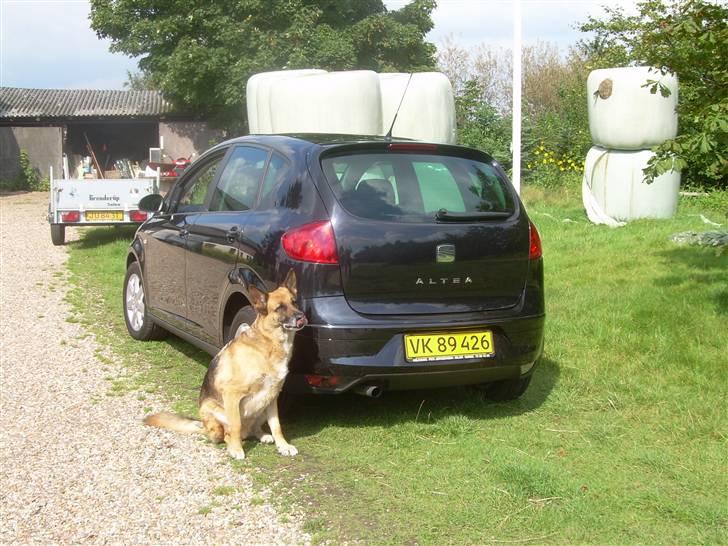 Seat Altea 1,9 billede 5