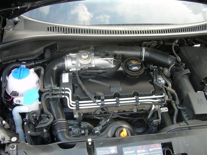 Seat Altea 1,9 billede 6