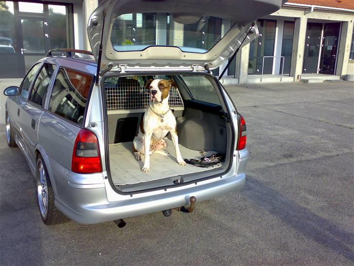 Opel vectra b s solgt... billede 8