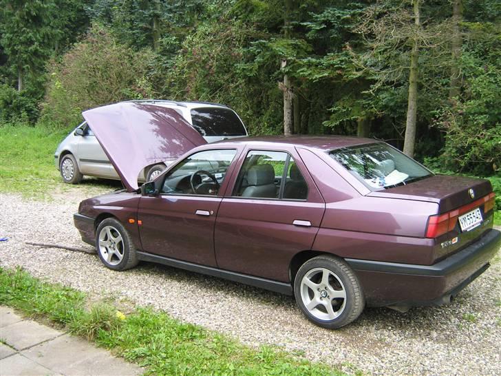 Alfa Romeo 155 total skadet billede 6