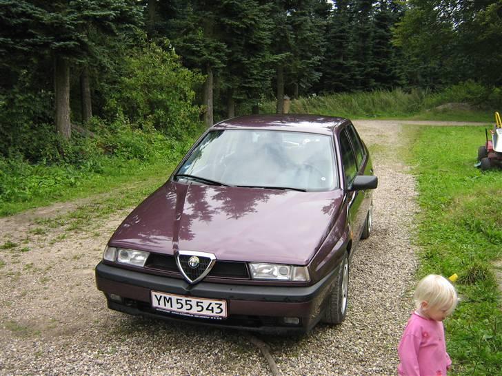 Alfa Romeo 155 total skadet - mit mindste barn er hun ik sød billede 8