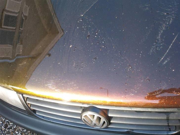 VW Passat variant tdi *Solgt - special pulver der giver farveskift :) billede 12